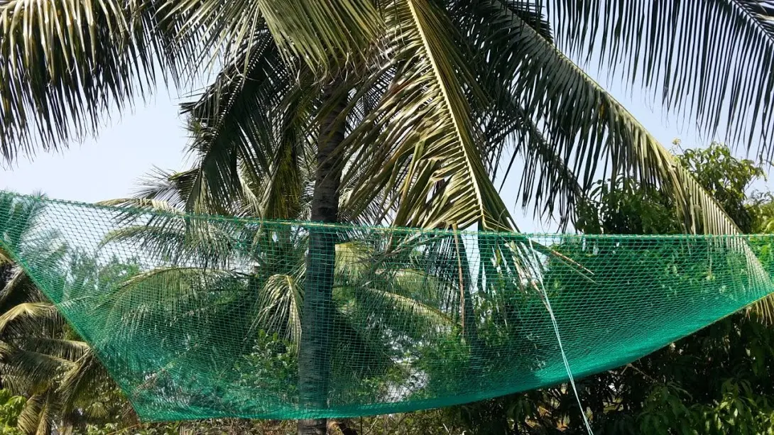 Coconut Safety Nets in Pune