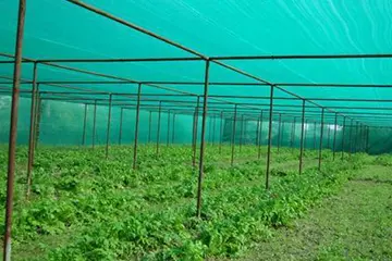 Buy Now Best Shade Nets in Pune, Call 9160177237 for Better Price