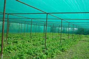 Balcony Safety Nets in Pune